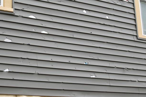 ### Siding Removal and Disposal